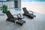 Garden Wicker/Rattan Pool Chaise Lounge Set - Outdoor furniture (LN-910)