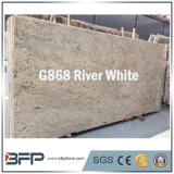 White Polished Natural Stone Slab Granite for Floor Tile/ Countertop/Stair