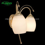 European Style Glass Wall Lamp/Wall Sconce for Decoration (8103/2W)