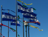 The Decoration Outdoor National Flag