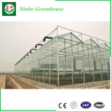 Hollow Insulated Building Facade Glass Greenhouse Tempered