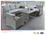 UV Resistance Rattan Outdoor Furniture Garden Sofa Set (TG-073)