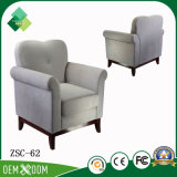 New Model Single Sofa Fabric Chair for Living Room (ZSC-62)