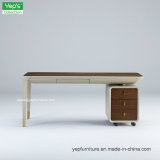 Home Office Furniture Simple Desk Executive Desk Modern Computer Table (T9180)