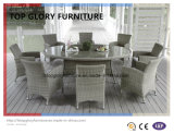 Dining Outdoor Furniture with Table and Chairs (TG-1609)
