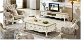 Europe Wooden Home Furniture, TV Set, Marble Coffee Table (A302)