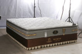 More Comfortable and Support Pocket Spring Mattress with Elegant Looking