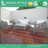 Synthetic Wicker Sofa Set Rattan Sofa with Cushion Leisure Furniture with Special Weaving (Magic Style)
