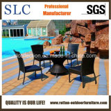 Rattan Chair Set /American Style Outdoor Wicker Furniture (SC-A7159)