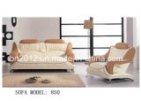 Living Room Genuine Leather Sofa (B-850A)