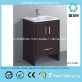 Ceramic Basin Bathroom Vanity Solid Wood MDF Bathroom Cabinet (BLS-NA021)