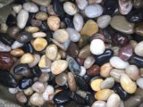 Supply Large Size Pebble Stone for Garden Decoration Landscaping