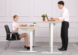 Office Desk or Office Furniture with Electric Ergonomic Office Sit and Stand Adjustable Desk