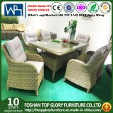 Wicker Furniture Rattan Dining Sets Wicker Set Table with Glass Top (TG-HL28)
