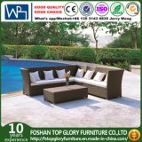 Modern Outdoor Rattan/Wicker Sofa Sets, Rattan Sofa Furniture, Rattan Sofa (TG-JW60)