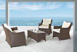 Home Furniture Modern Outdoor Rattan/Wicker Sofa Leisure Garden Furniture