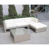 Modern Indoor Wicker Outdoor Furniture (WS-06005)
