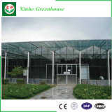 Intelligent Agriculture Glass Greenhouse for Planting