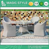 High Quality Dining Chair Synthetic Wicker Dining Set Patio Dining Set (Magic Style)