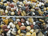 Natural Black/Yellow/White/Mixed River Pebble Stone for Garden/Paving/Plaza/Hotel/Landscaping/Decoration