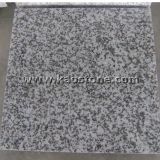 China Polished Grey/Gray Granite G439 for Wall/Floor Tile