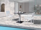Outdoor Patio Garden Home Hotel Office Bass Dining Table and Chair (J675)