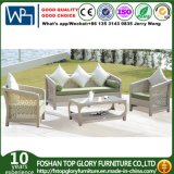 Synthetic Rattan Outdoor Garden Furniture Cornor Sofa Set (TG-1020)