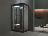Arc-Shaped Gorgeous Shower Room Steam Cabinet (M-8282)