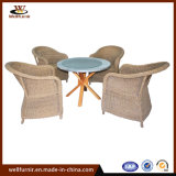 Brown 4-Person Rattan Sofa Dining Sets (WF050047)