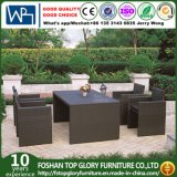 Rattan Garden Furniture/Outdoor Wicker Dining Sets (TG-JW54)