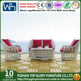 Modern Artificial Outdoor Garden Furniture Wicker Sofa (TG-016)