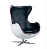 Modern ABS Plastic Egg Leisure Chair (SZ-ABS539)