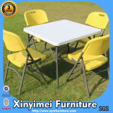 High Quality Metal Frame Plastic Back and Seat White Folding Chair
