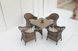 Factory New Design Garden Rattan Furniture/Leisure Wicker Furniture/Weatherproof (BP-3028)