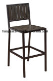 Outdoor / Garden / Patio/ Rattan/ Polywood Chair HS3001sc