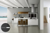 Modern Glossy Lacquer Kitchen Cabinet (zz-034)
