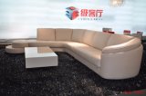 Hot Selling Popular American Sofa Leisure Leather Sofa (SBL-9049)
