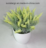 18cm Cypress Artificial Plant W/White Pot for Home Decoration (50133)