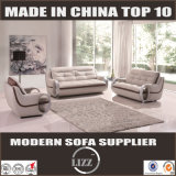 Contemporary Living Room Leather Sofa Lz328b