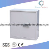 Precosion Custom Galvanzied Steel File Cabinet with Password
