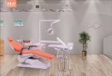 China Manufacturer Ce and ISO Approvel Dental Chair