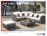 Garden Sectional Outdoor Wicker/Rattan Sofa Set (TG-053)