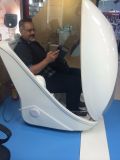 Ozone Steam Infrared Sauna for Massage Detox Slimming SPA Capsule