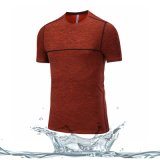 Wholesale Cheap Sport Breathable Men's Gym Wear Fitness T Shirt