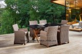 Modern Wicker Weaving Outdoor Chair and Table