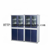 Chemistry/ Hospital Medical Cabinet for Laboratory