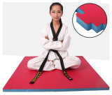 EVA Mats Martial Art Style Grade T Shape EVA Tatami Taekwondo Mat