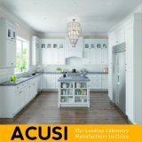 Wholesale American Shaker Style Solid Wood Kitchen Cabinet (ACS2-W03)