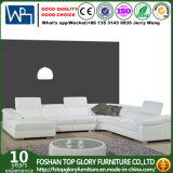 American 2017 Modern Furniture Sofa (TG-9119)