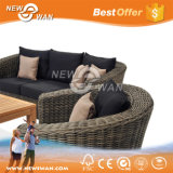 Outdoor Rattan Furniture for Hotel Use (Sofa, Longue, Chair)